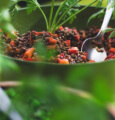 gallery instagram